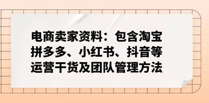 （14354期）电商卖家资料：包含淘宝、拼多多、小红书、抖音等运营干货及团队管理方法 - 副业心选-副业心选