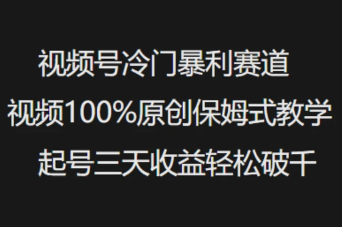 视频号冷门暴利赛道视频100%原创保姆式教学起号三天收益轻松破千-副业心选