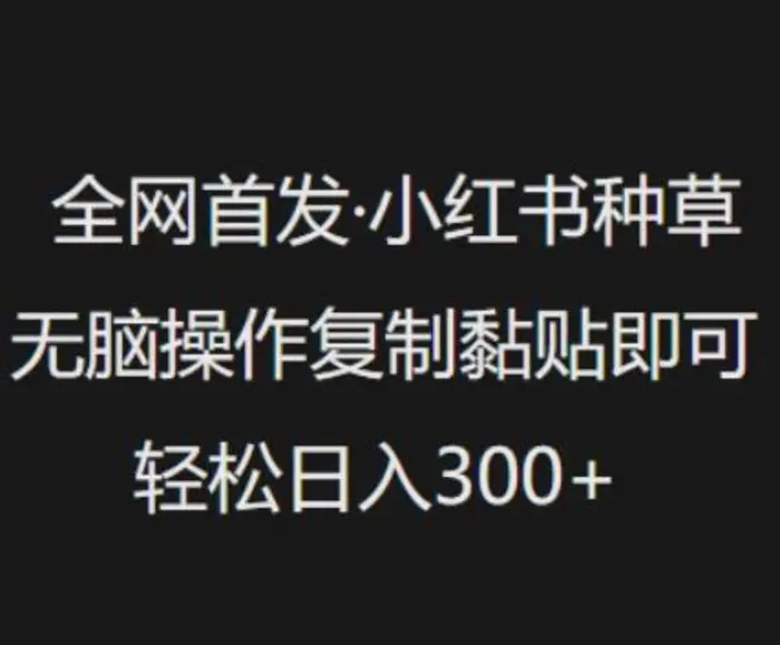 全网首发，小红书种草无脑操作，复制黏贴即可，轻松日入3张 - 副业心选-副业心选