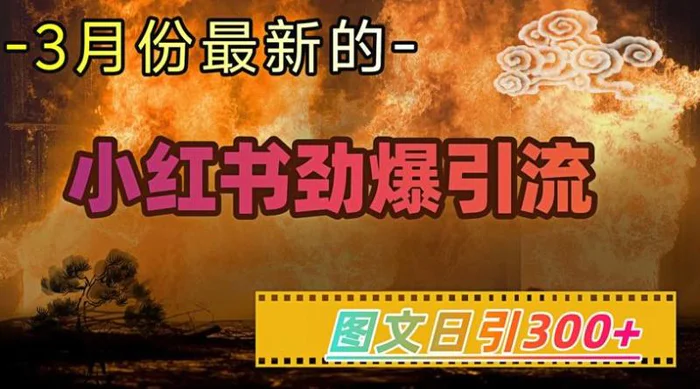 小红书超劲爆引流手段，图文日引300+轻松变现1W - 副业心选-副业心选