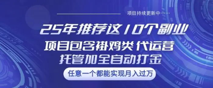 25年推荐这10个副业项目包含褂鸡类、代运营托管类、全自动打金类 - 副业心选-副业心选