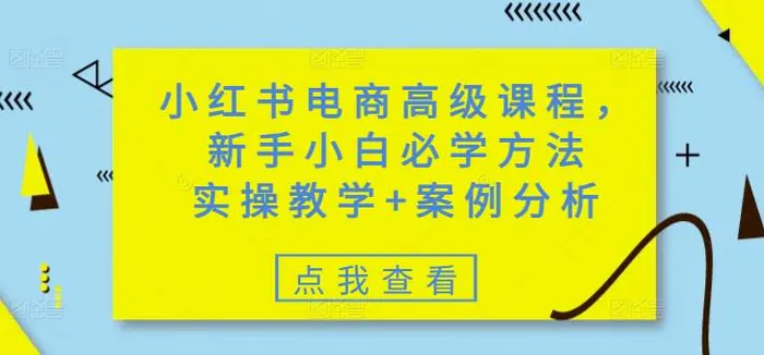 小红书电商高级课程，新手小白必学方法，实操教学+案例分析 - 副业心选-副业心选