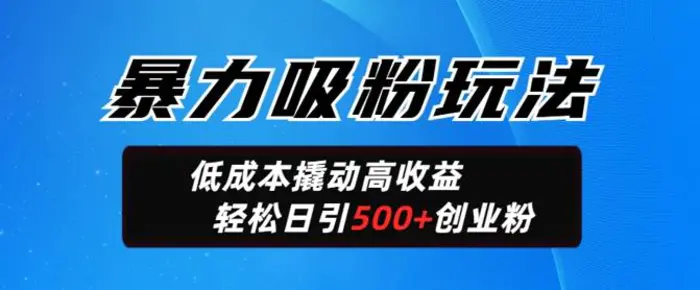 暴力吸粉玩法，日引500+精准创业粉，日变现轻松多张 - 副业心选-副业心选