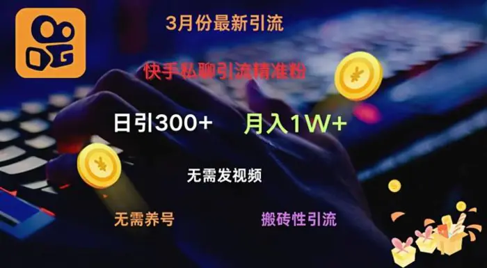 快手私聊引流精准粉，当天见效无需发视频搬砖引流法日引300+ - 副业心选-副业心选
