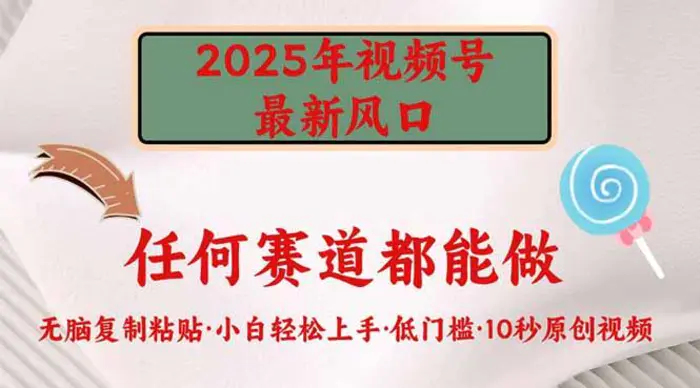 （14453期）2025年视频号新风口，低门槛只需要无脑执行 - 副业心选-副业心选