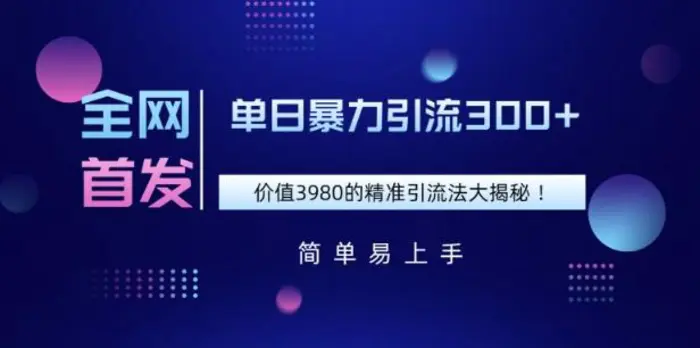 全网首发，价值3980单日暴力引流300+的精准引流法大揭秘-副业心选