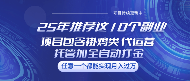 25年推荐这10个副业 项目包含褂鸡类、代运营托管类、全自动打金类-副业心选