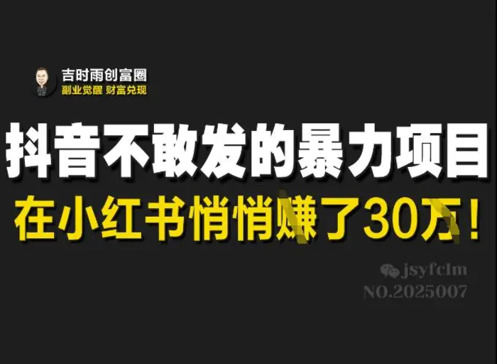 抖音不敢发的暴利项目，在小红书悄悄挣了30W - 副业心选-副业心选
