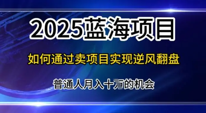 2025蓝海项目，普通人如何通过卖项目实现逆风翻盘，月入10个【揭秘】-副业心选