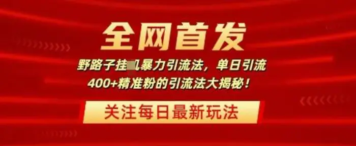 全网首发，野路子暴力引流法，单日引流400+精准粉的引流法大揭秘 - 副业心选-副业心选