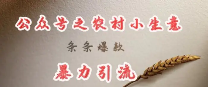 deepseek写农村小项目，条条爆款，暴力引流 - 副业心选-副业心选