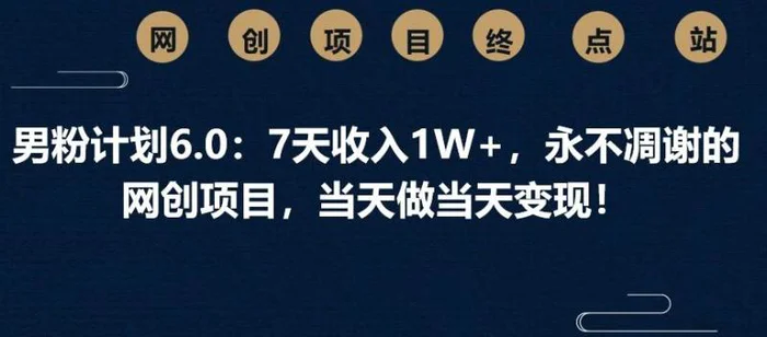 男粉计划6.0：7天收入1W+，永不凋谢的网创项目，当天做当天变现！ - 副业心选-副业心选