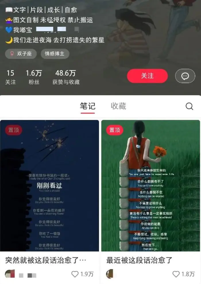 图片[2]-小红书治愈文案图文笔记，零门槛，一分钟制作轻松制作爆款作品月入万元 - 副业心选-副业心选