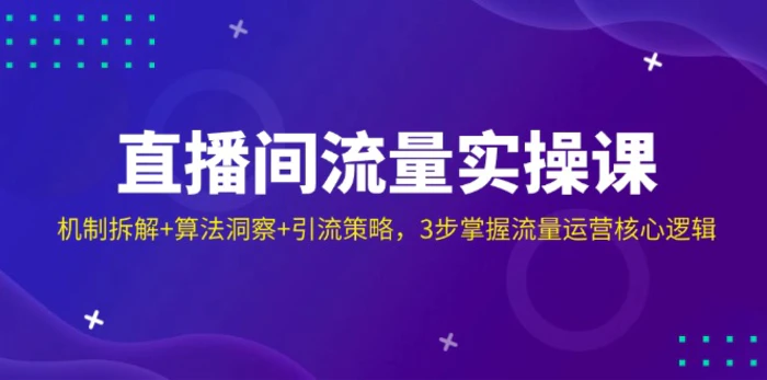 （14122期）直播间流量实操课：机制拆解+算法洞察+引流策略，3步掌握流量运营核心逻辑 - 副业心选-副业心选