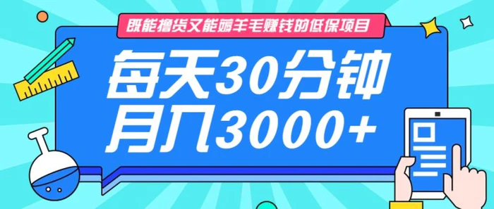 既能撸货又能赚钱的长期低保项目，每天30分钟，多号百分百稳定月入3000+！ - 副业心选-副业心选