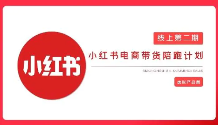 2025小红书虚拟电商实战课，从0到1打造无货源店铺，AI+爆款笔记轻松变现 - 副业心选-副业心选