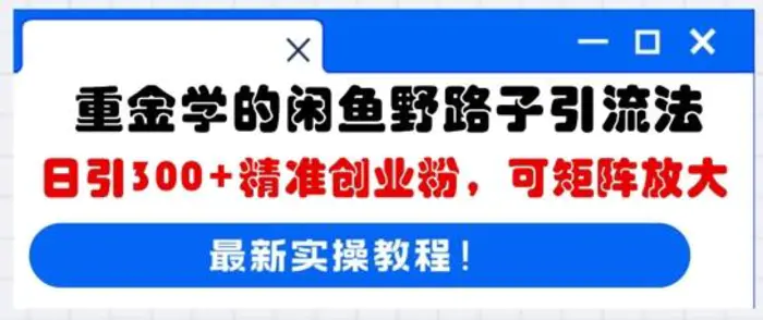 重金学的闲鱼野路子引流法，日引300+精准创业粉，可矩阵放大 - 副业心选-副业心选