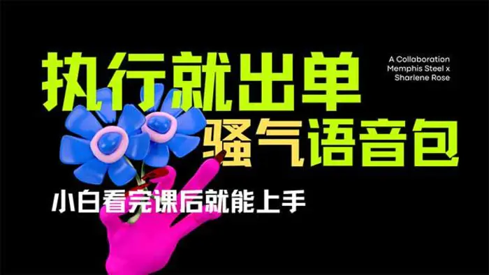 （14170期）爆火全网的开车导航骚气语音包,只要执行就出单，小白看完课程就能实操… - 副业心选-副业心选