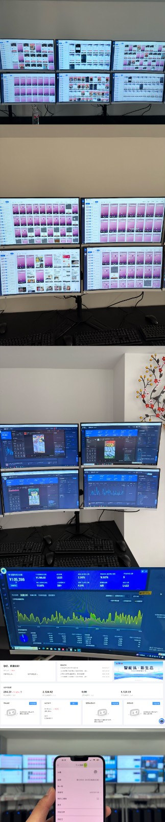 图片[2]-实操项目合集 挂机类型 直播类型 轻资产创业类型 课程分享各项目介绍和原理 - 副业心选-副业心选