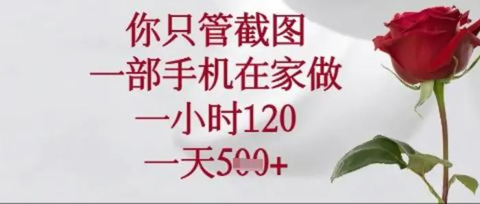 你只管截图，一部手机在家操作，一小时120.一天5张 - 副业心选-副业心选