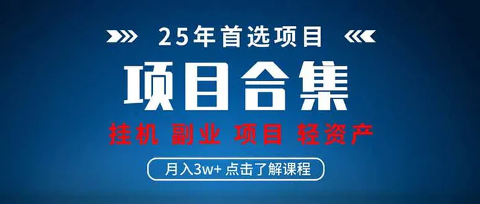 （14175期）2025 实操项目合集 挂机类型 直播类型 轻资产创业类型 课程分享各项目…-副业心选