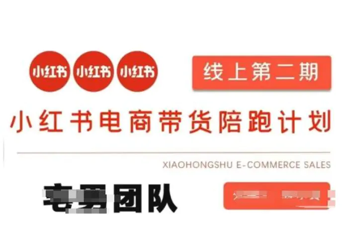 小红书电商带货课2期，月利润20个的小红书电商的有货源，无货源，虚拟产品，付费投流等整套玩法 - 副业心选-副业心选