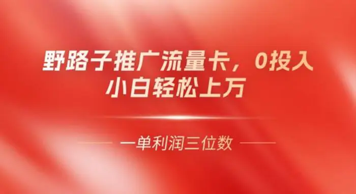 0门槛推广流量卡，一单收益上百，0投入，小白月入过W - 副业心选-副业心选