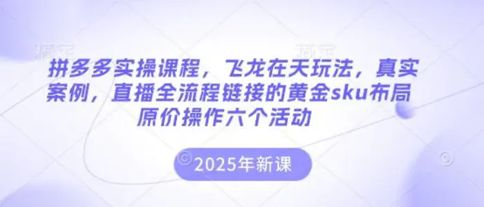 拼多多实操课程，飞龙在天玩法，真实案例，直播全流程链接的黄金sku布局原价操作六个活动 - 副业心选-副业心选