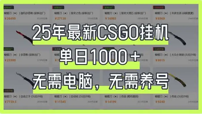 （14178期）25年最新CSGO挂机系统，单日1000+，无需电脑，无需养号，0基础可上手-副业心选