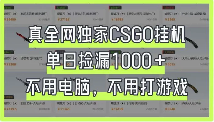 真全网独家CSGO挂机，单日捡漏1000+，不用电脑，不用养号 - 副业心选-副业心选