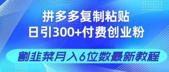 （14232期）拼多多复制粘贴日引300+付费创业粉，割韭菜月入6位数最新教程！-副业心选
