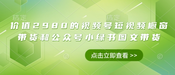 价值2980的视频号短视频橱窗带货和公众号小绿书图文带货 - 副业心选-副业心选