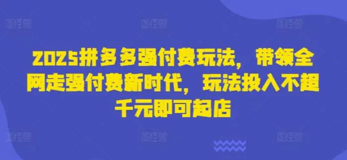 2025拼多多强付费玩法，带领全网走强付费新时代，玩法投入不超千元即可起店 - 副业心选-副业心选