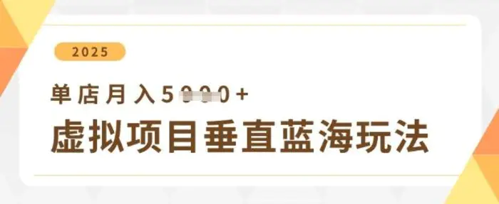 虚拟项目垂直玩法，实现单店月入5k+ - 副业心选-副业心选