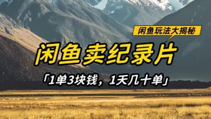 闲鱼卖纪录片1单3块钱，1天几十单，项目稳定有潜力-副业心选