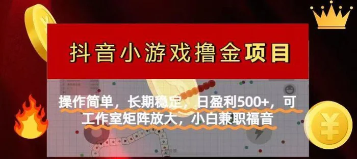 （14290期）【抖音小游戏发行人计划项目】操作简单，长期稳定，日盈利500+，可工作… - 副业心选-副业心选