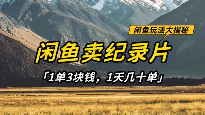闲鱼卖纪录片，简单又赚钱的小项目，1单3块钱  1天几十单-副业心选