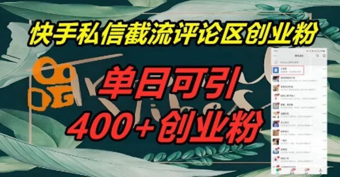 快手私信截流创业粉，一天引流400+-副业心选