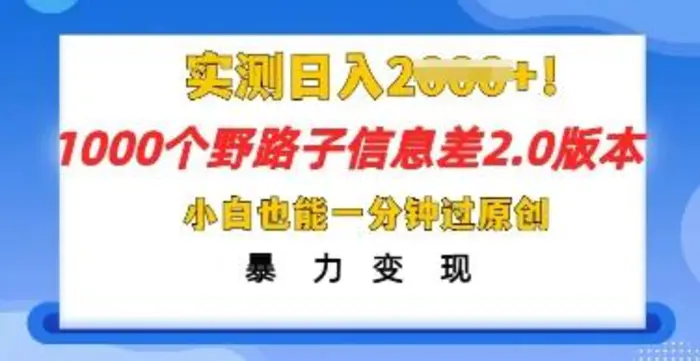 2025抖音1000个野路子信息差最新玩法，一分钟过原创，暴力变现月入几k - 副业心选-副业心选