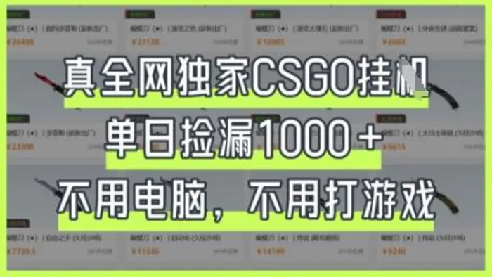 真全网独家CSGO挂G，单日捡漏1k+ - 副业心选-副业心选