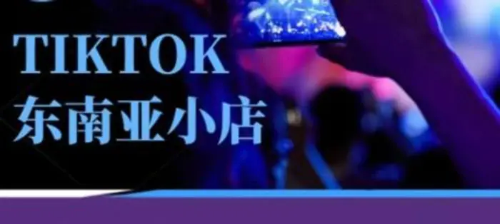 Tiktok东南亚跨境小店运营班，一门专业的TK小店运营培训课-副业心选