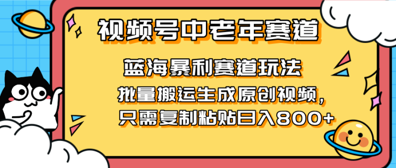 （14314期）2025视频号中老年短视频蓝海暴利风口！复制粘贴搬运视频单日赚800+，无… - 副业心选-副业心选