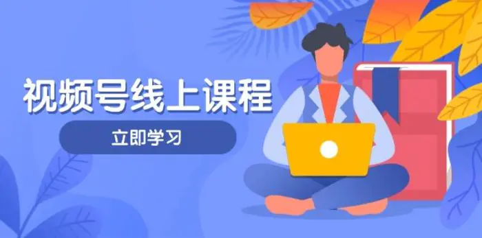 （14360期）视频号实战课程，轻IP打造与运营技巧，掌握核心方法与策略 - 副业心选-副业心选