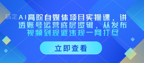 AI高阶自媒体项目实操课，讲透账号运营底层逻辑，从发布视频到规避违规一网打尽 - 副业心选-副业心选