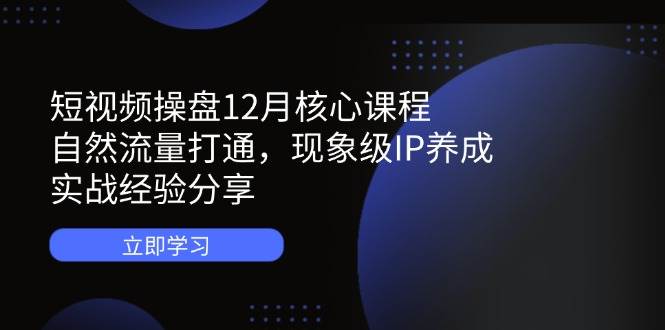 短视频操盘12月核心课程：自然流量打通，现象级IP养成，实战经验分享 - 副业心选-副业心选