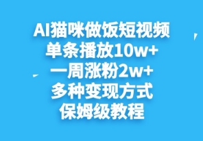 AI猫咪做饭短视频，单条播放10w+，一周涨分2w+，多种变现方式，保姆级教程 - 副业心选-副业心选