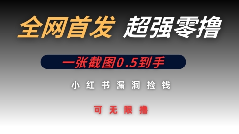 全网首发无限零撸捡钱项目，小红书一张截图0.5元可无限零撸 - 副业心选-副业心选