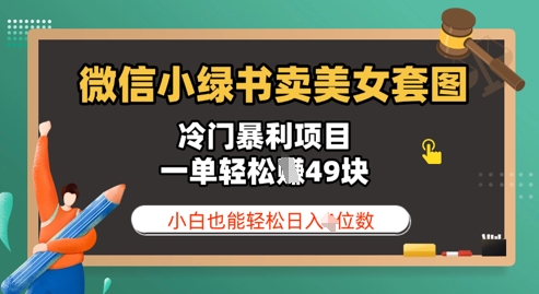 微信小绿书卖美女套图，冷门暴利项目，一单轻松挣49块，小白也能轻松日入3位数-副业心选
