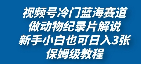 视频号冷门蓝海赛道，做动物纪录片解说，新手小白也日入3张，保姆级教程 - 副业心选-副业心选