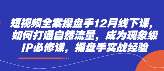 短视频全案操盘手12月线下课，如何打通自然流量，成为现象级IP必修课，操盘手实战经验-副业心选
